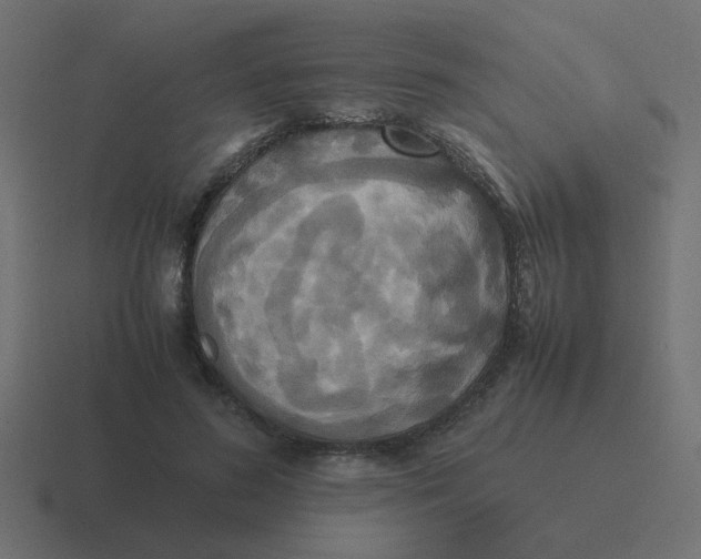 X0000116420596200912291850