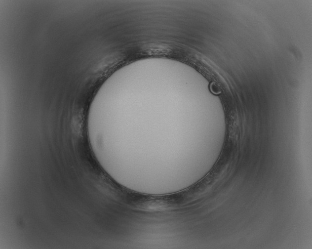 X0000116420604200912291850