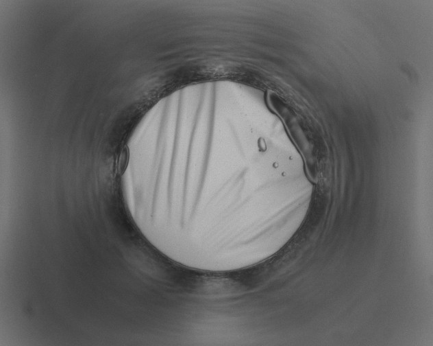 X0000116420605200912291850