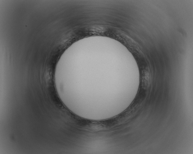 X0000116420608200912291850