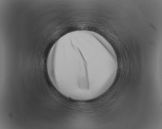 X0000116420611200912291850