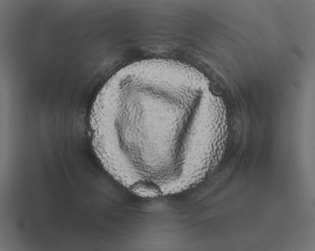 X0000116420612200912291850