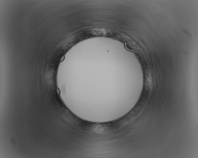 X0000116420616200912291850