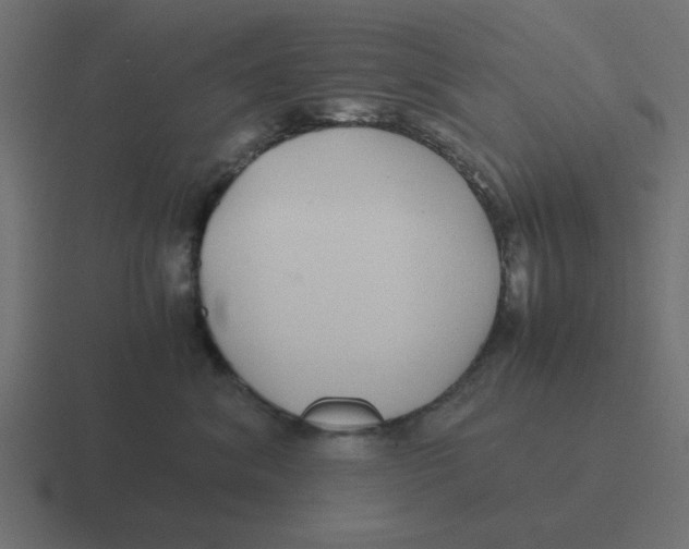 X0000116420620200912291850