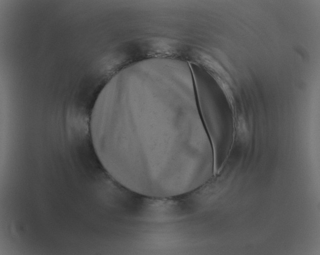 X0000116420621200912291850
