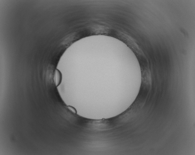 X0000116420622200912291850