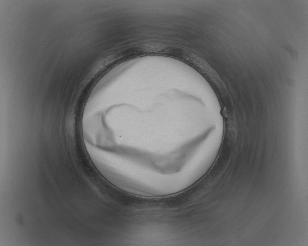 X0000116420626200912291849