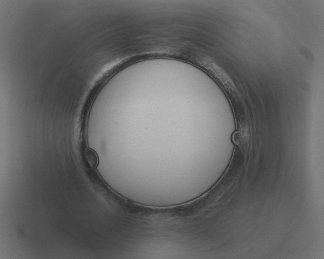 X0000116420628200912291849