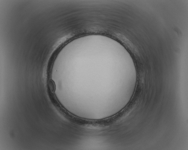 X0000116420630200912291849