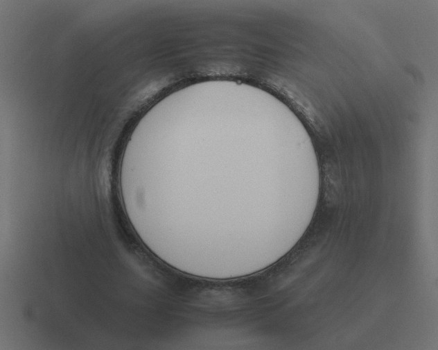 X0000116420631200912291849