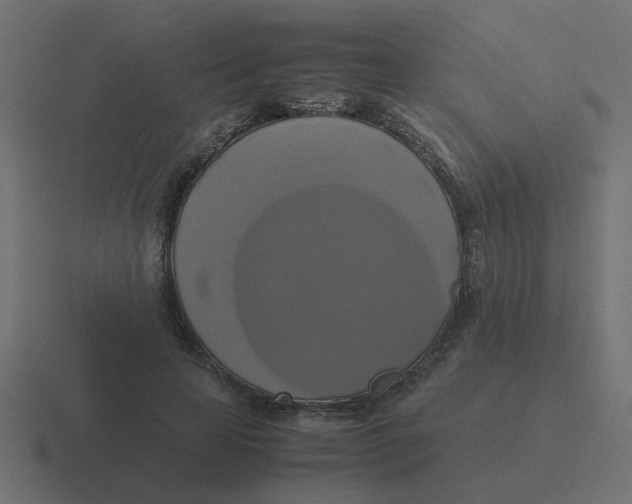 X0000116420641200912291849