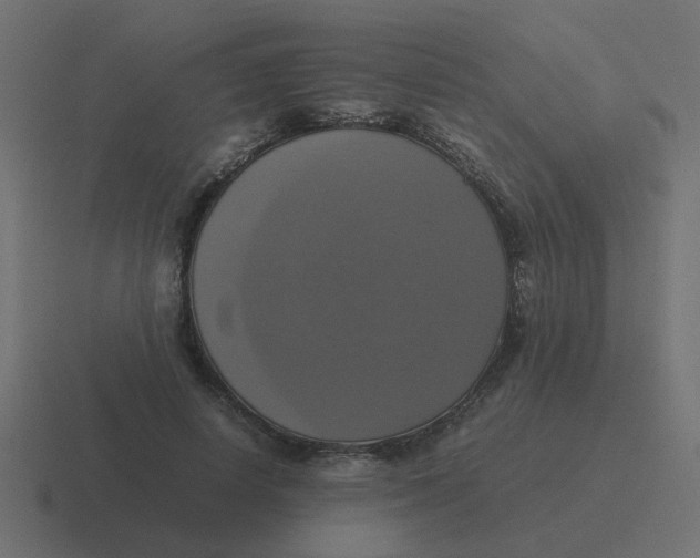 X0000116420642200912291849