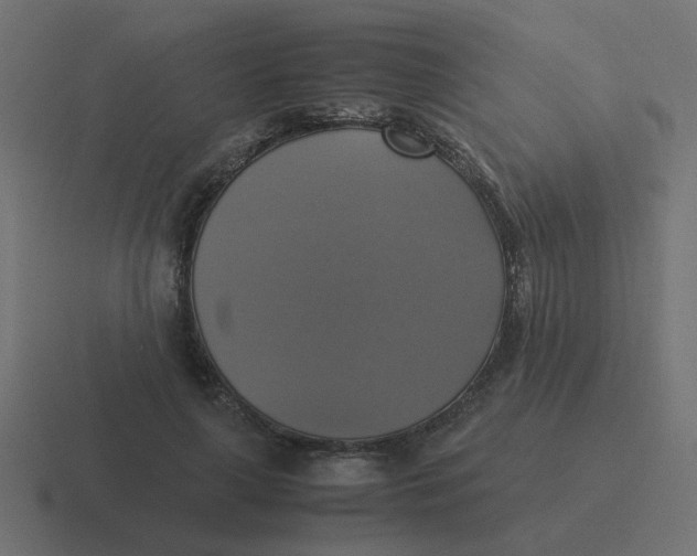 X0000116420643200912291849