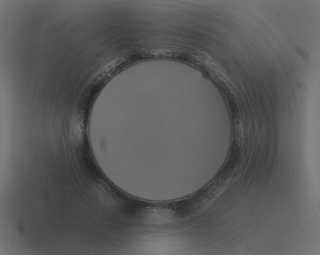 X0000116420644200912291849