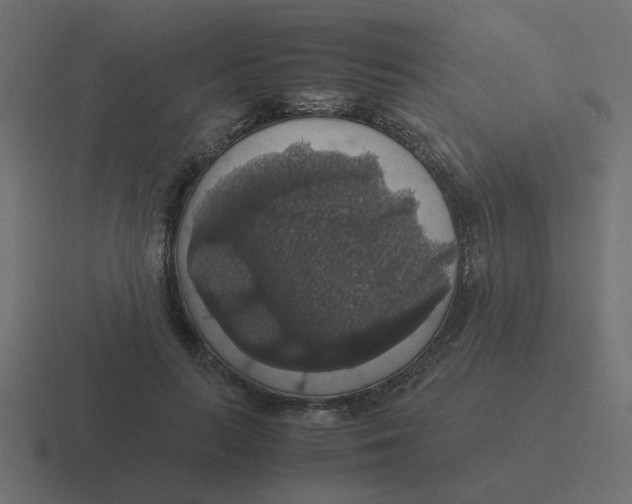 X0000116420647200912291849