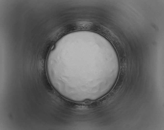 X0000116420649200912291850