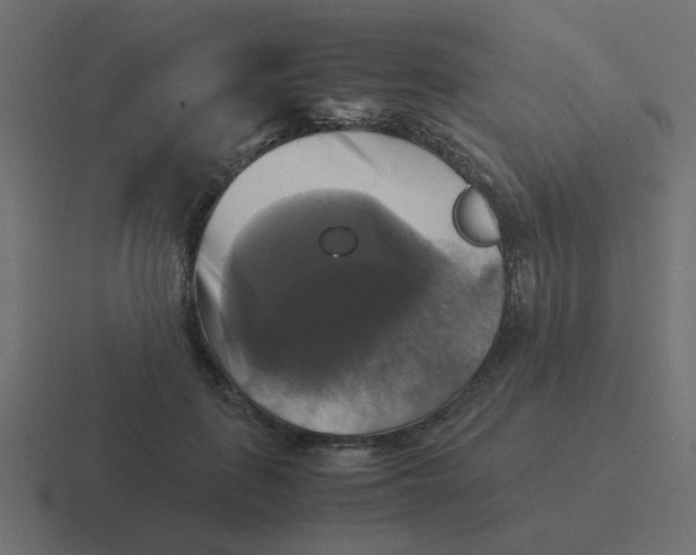 X0000116420651200912291850