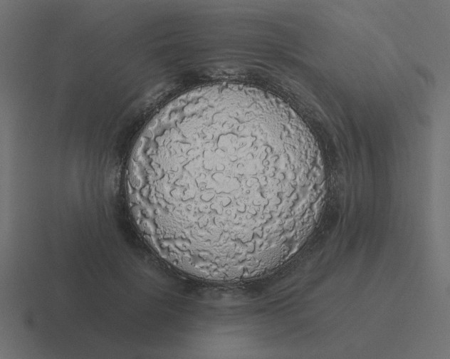 X0000116420652200912291850