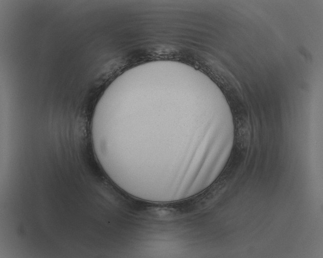 X0000116420654200912291850