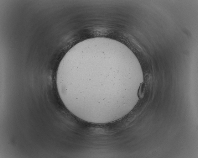 X0000116420655200912291850