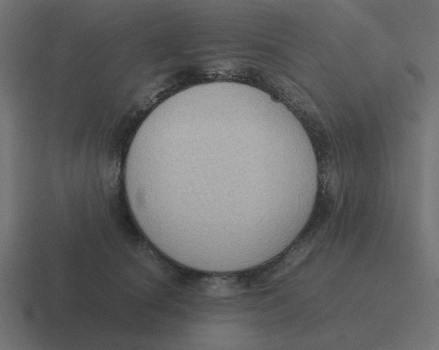 X0000116420660200912291850