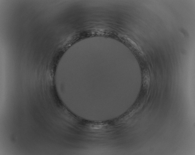 X0000116420661200912291850