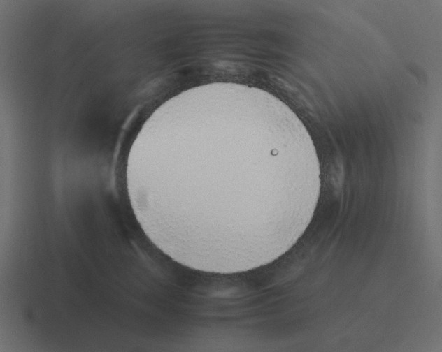 X0000116420663200912291850