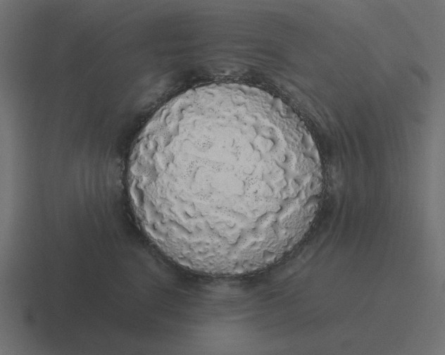 X0000116420664200912291850