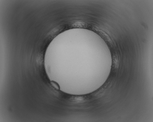 X0000116420665200912291850