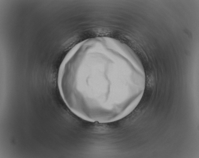 X0000116420666200912291850