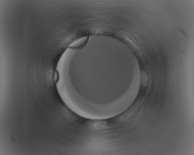 X0000116420670200912291850