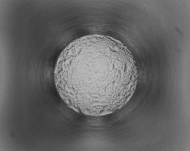 X0000116420671200912291850