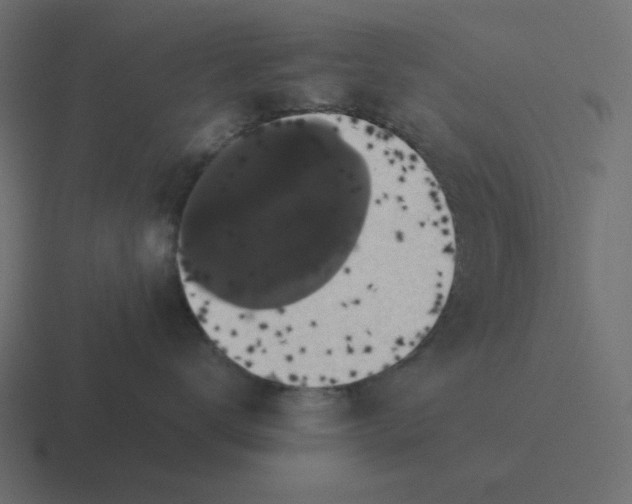 X0000116420672200912291850