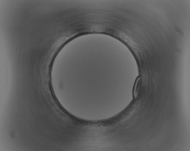 X0000116420673200912291849