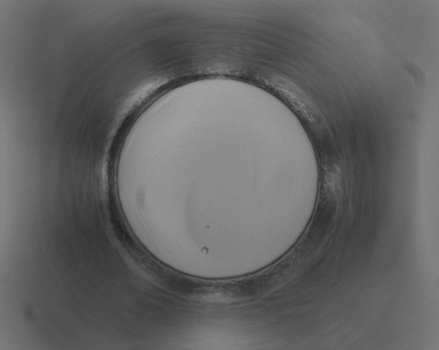 X0000116420678200912291849