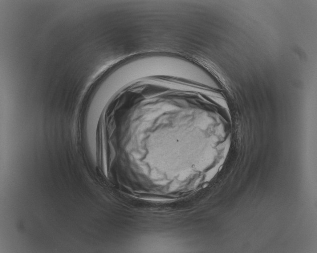 X0000116420680200912291849