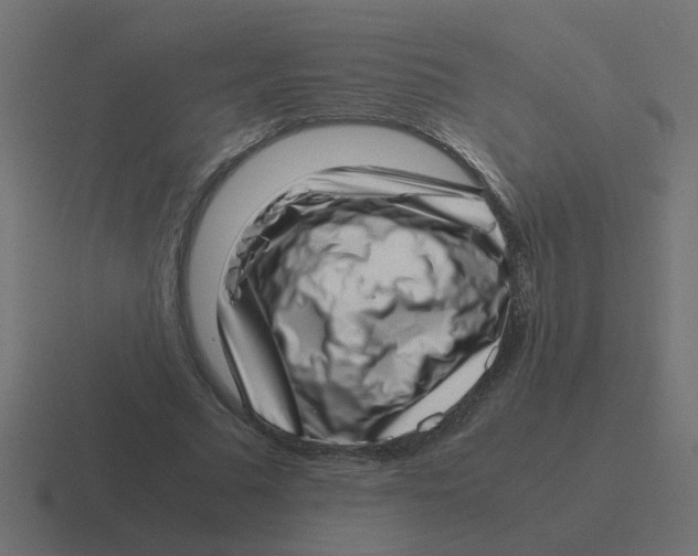 X0000116420681200912291849