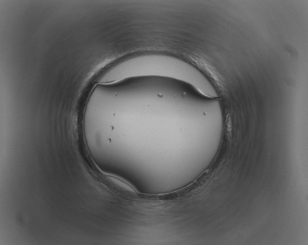 X0000116420684200912291849