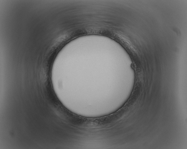 X0000116420687200912291849