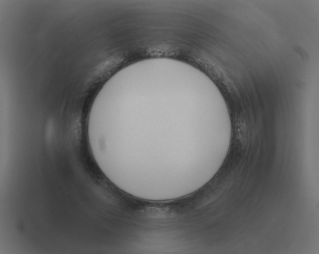 X0000116420690200912291849