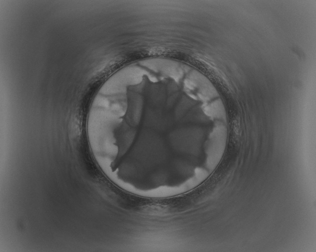 X0000116420691200912291849