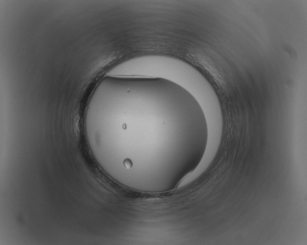X0000116420692200912291849