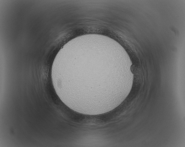X0000116420695200912291849