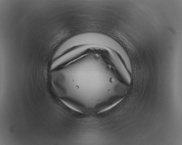 X0000116420696200912291849