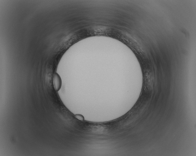 X0000116420698200912291849