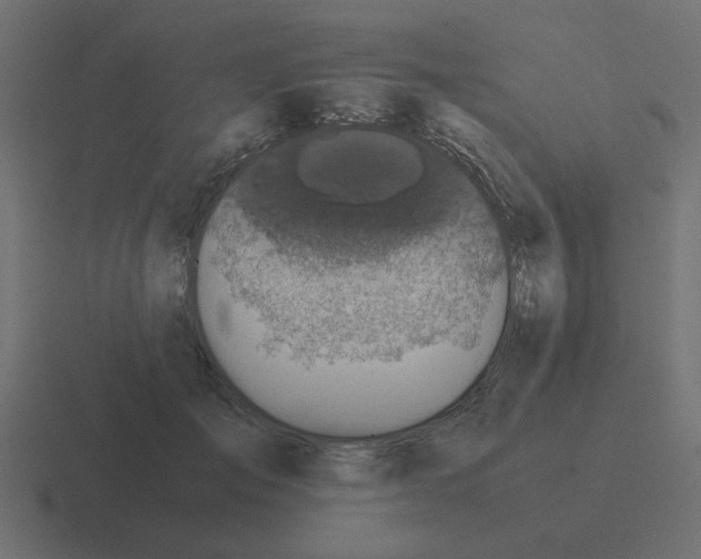 X0000116420701200912291849