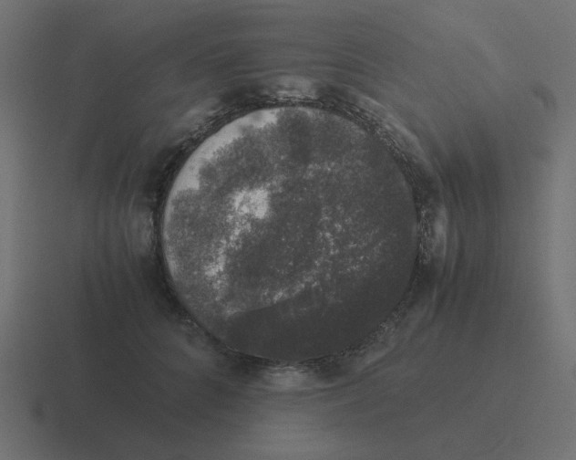 X0000116420704200912291849