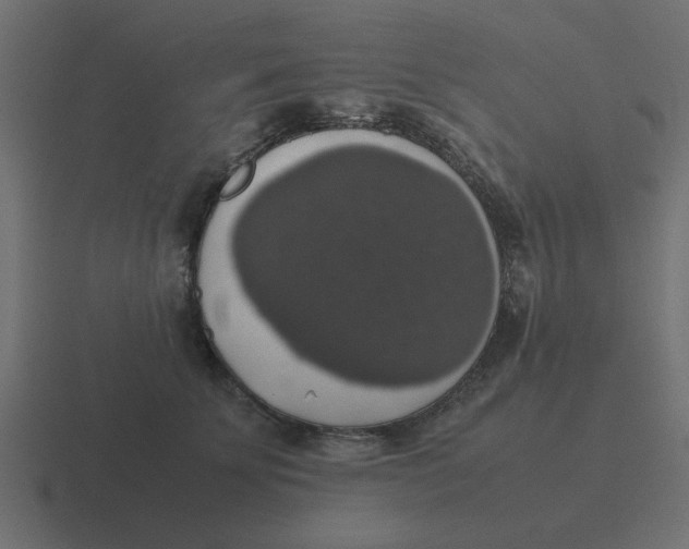 X0000116420707200912291849