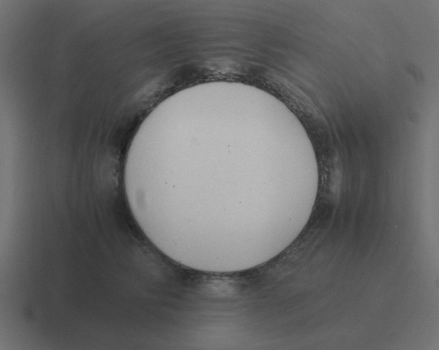 X0000116420710200912291849