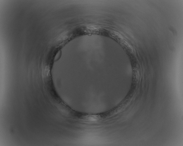 X0000116420711200912291849